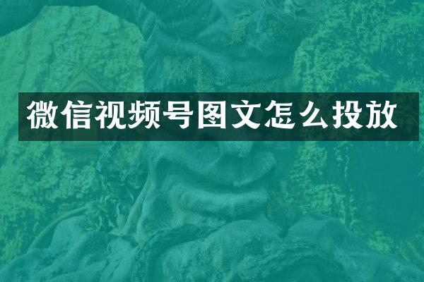 微信视频号图文怎么投放