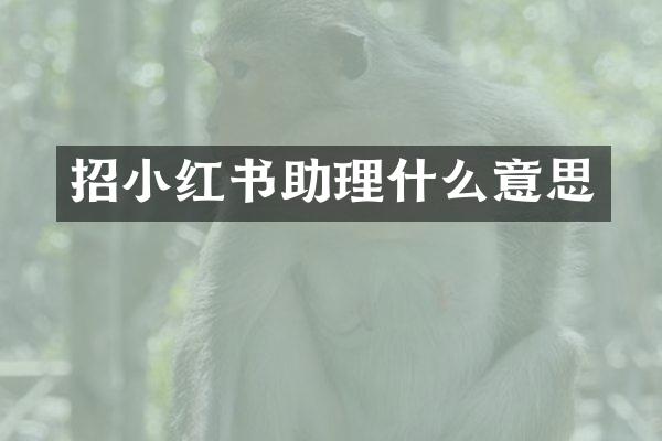 招小红书助理什么意思