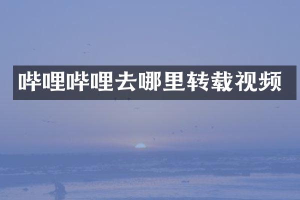 哔哩哔哩去哪里转载视频