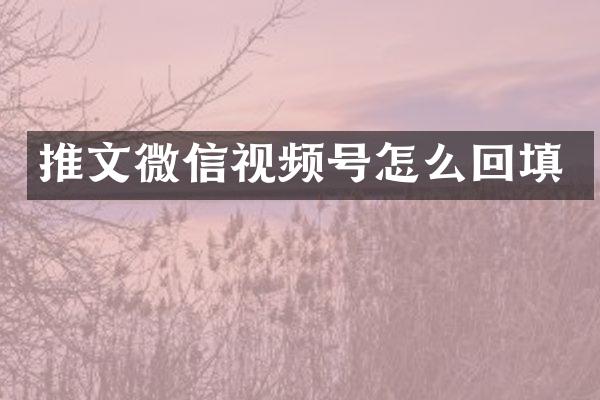 推文微信视频号怎么回填