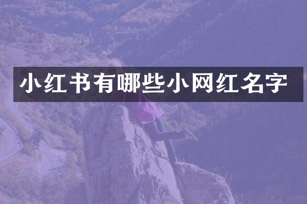 小红书有哪些小网红名字