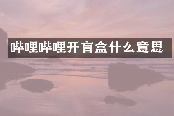 哔哩哔哩开盲盒什么意思