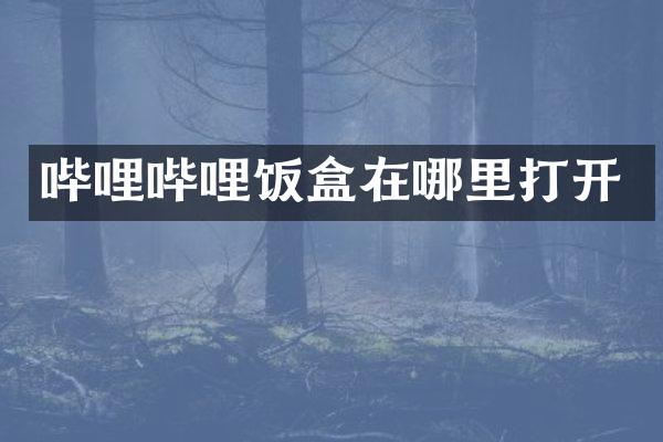 哔哩哔哩饭盒在哪里打开