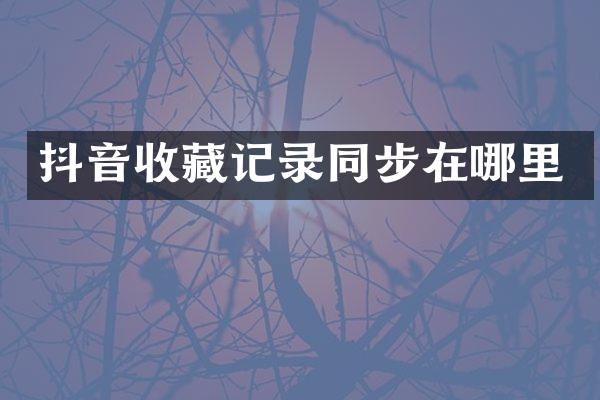 抖音收藏记录同步在哪里