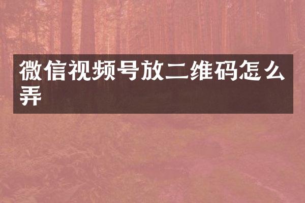 微信视频号放二维码怎么弄