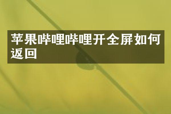 苹果哔哩哔哩开全屏如何返回
