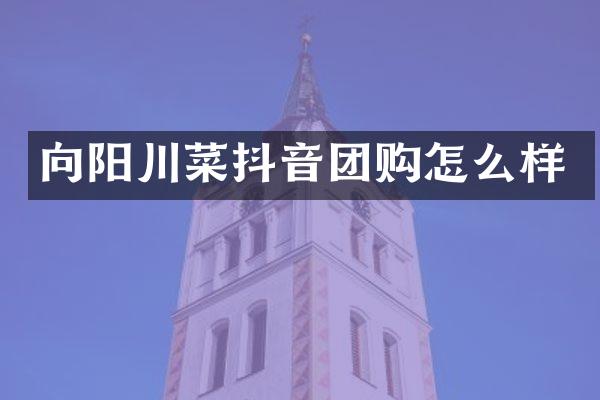 向阳川菜抖音团购怎么样