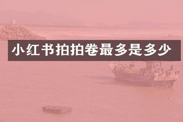 小红书拍拍卷最多是多少