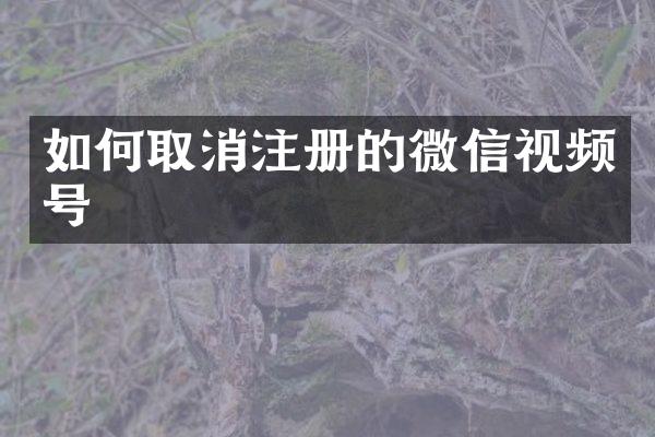 如何取消注册的微信视频号