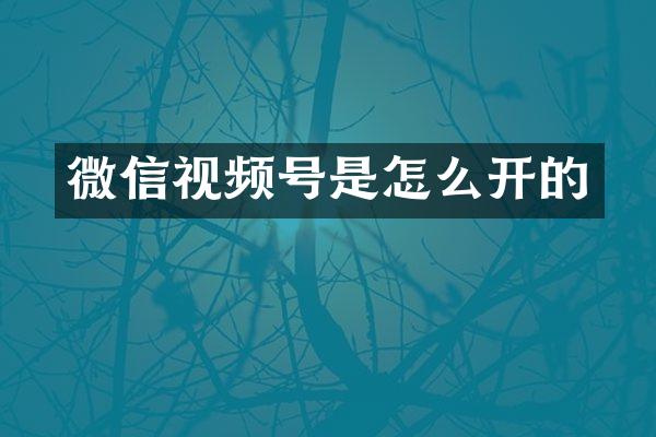 微信视频号是怎么开的