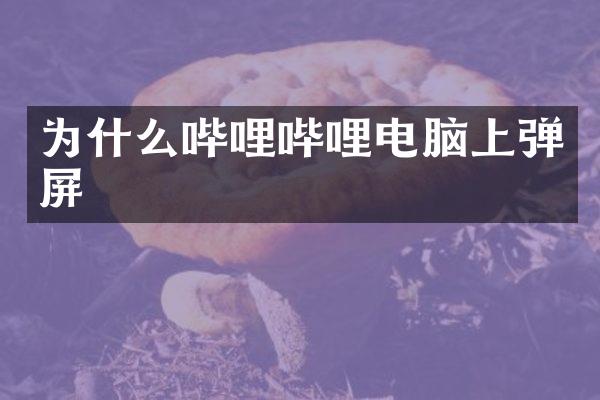 为什么哔哩哔哩电脑上弹屏