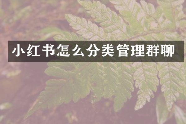 小红书怎么分类管理群聊