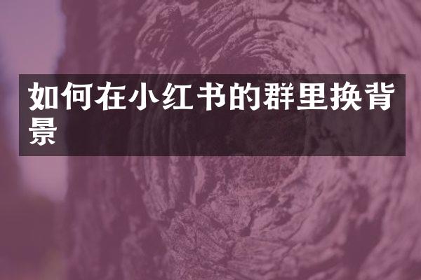 如何在小红书的群里换背景