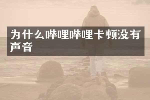 为什么哔哩哔哩卡顿没有声音