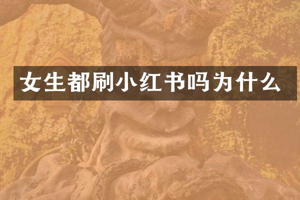 女生都刷小红书吗为什么