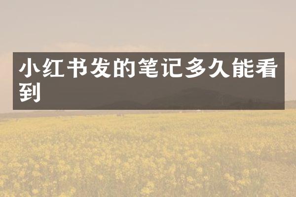 小红书发的笔记多久能看到
