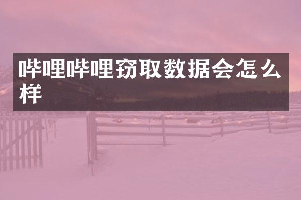 哔哩哔哩窃取数据会怎么样