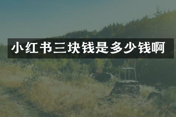 小红书三块钱是多少钱啊