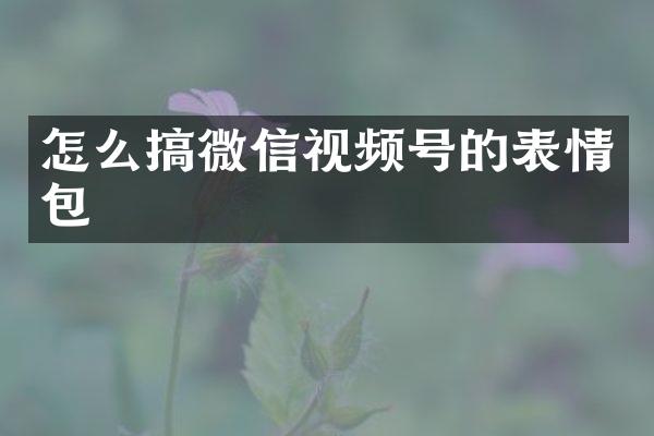 怎么搞微信视频号的表情包