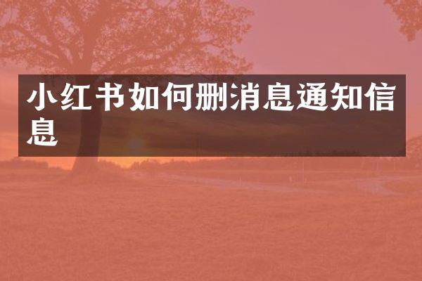 小红书如何删消息通知信息