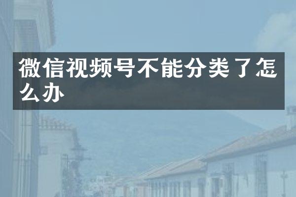 微信视频号不能分类了怎么办