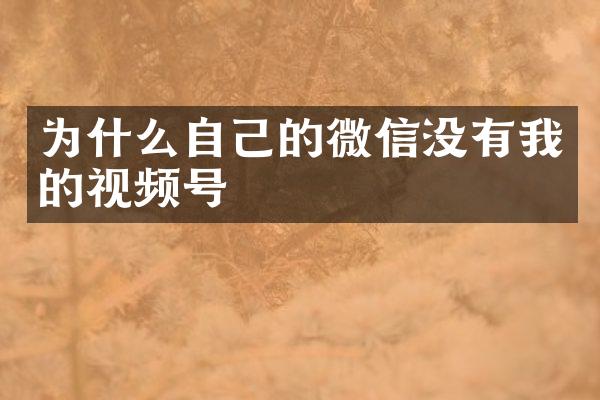为什么自己的微信没有我的视频号