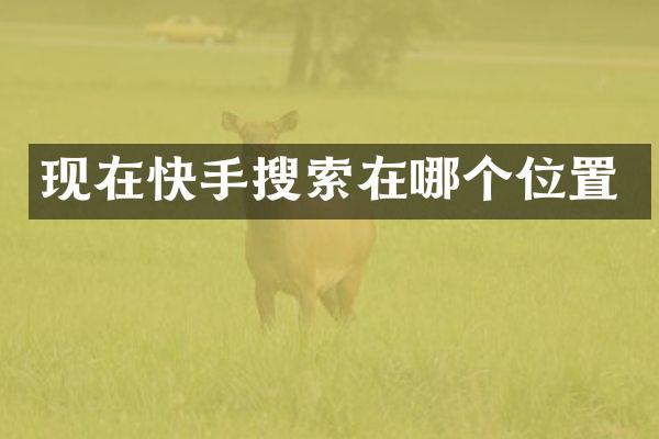 现在快手搜索在哪个位置