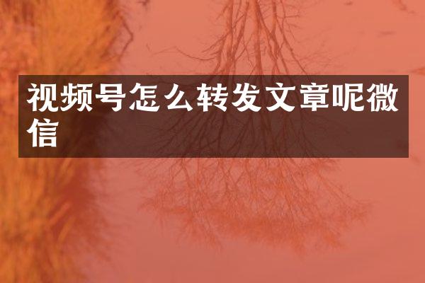 视频号怎么转发文章呢微信