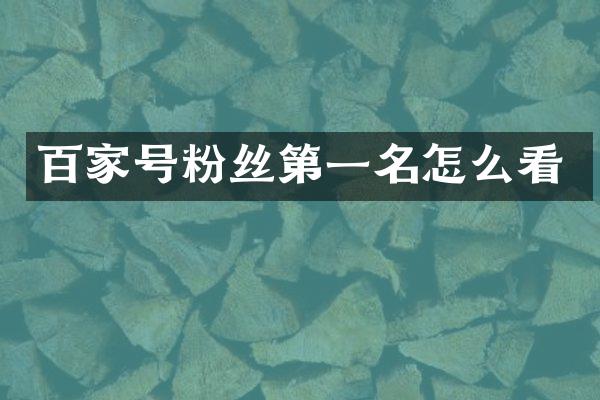 百家号粉丝第一名怎么看