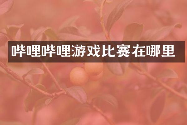 哔哩哔哩游戏比赛在哪里