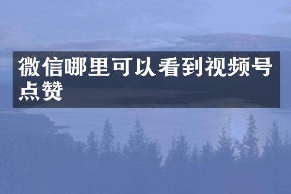 微信哪里可以看到视频号点赞