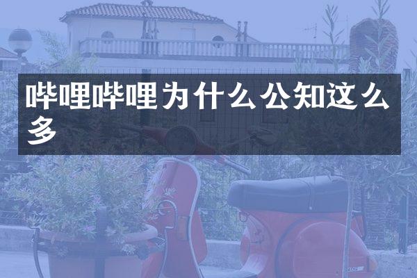 哔哩哔哩为什么公知这么多