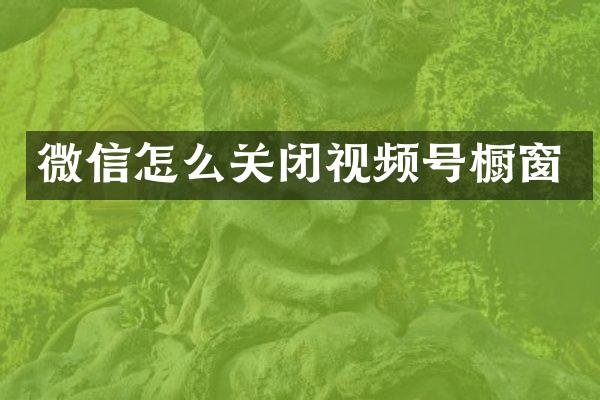 微信怎么关闭视频号橱窗