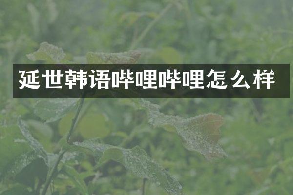 延世韩语哔哩哔哩怎么样