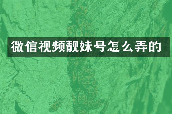 微信视频靓妹号怎么弄的