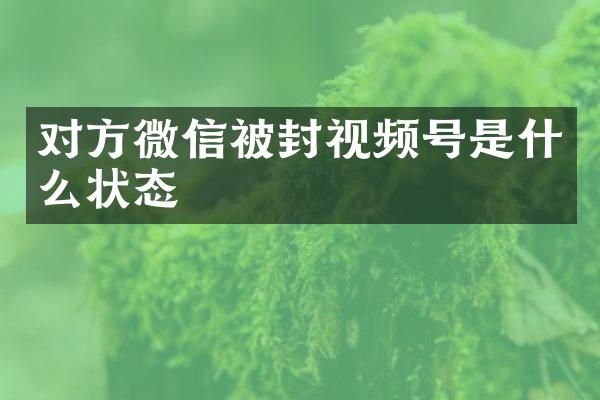 对方微信被封视频号是什么状态