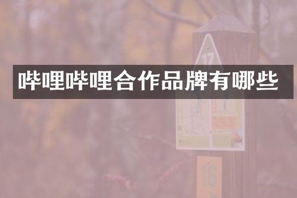 哔哩哔哩合作品牌有哪些