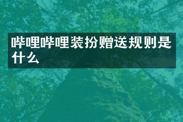 哔哩哔哩装扮赠送规则是什么