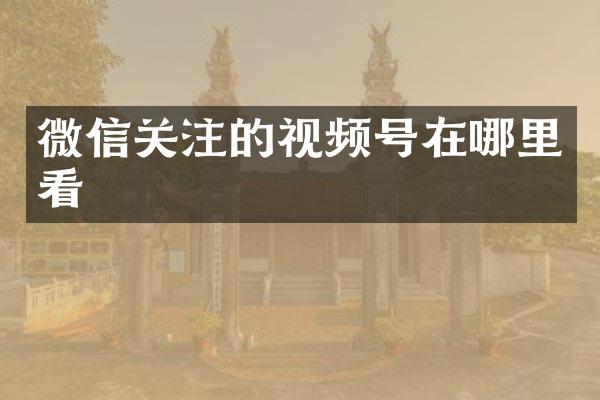 微信关注的视频号在哪里看