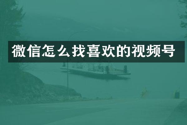 微信怎么找喜欢的视频号