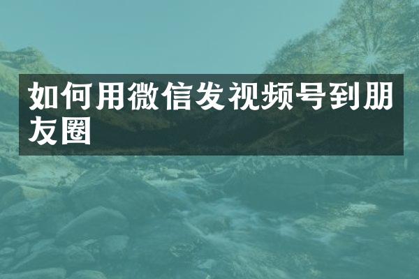 如何用微信发视频号到朋友圈