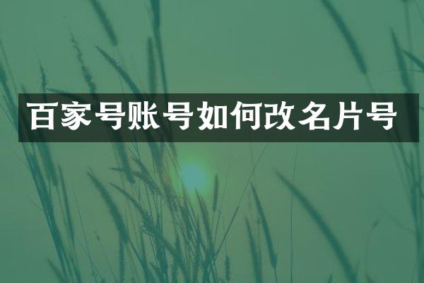 百家号账号如何改名片号