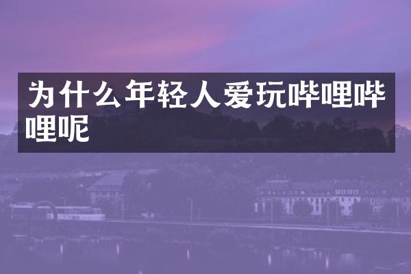 为什么年轻人爱玩哔哩哔哩呢