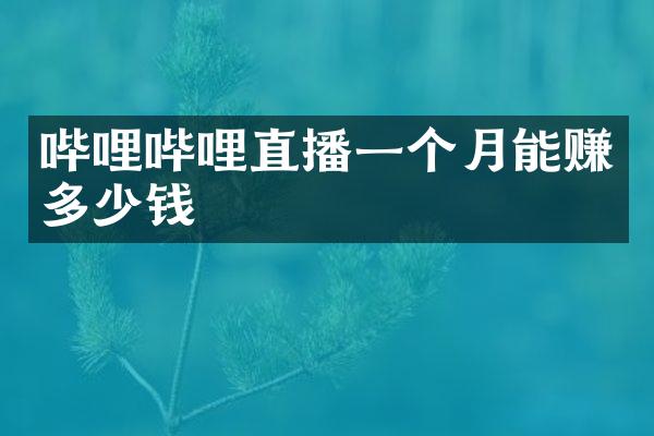 哔哩哔哩直播一个月能赚多少钱
