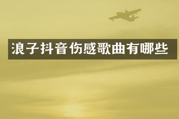 浪子抖音伤感歌曲有哪些