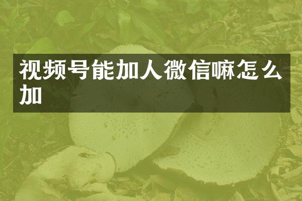 视频号能加人微信嘛怎么加