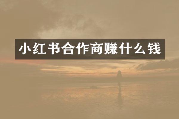 小红书合作商赚什么钱