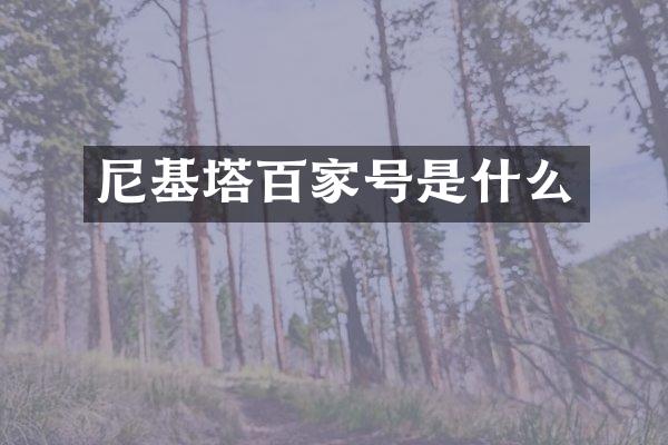 尼基塔百家号是什么