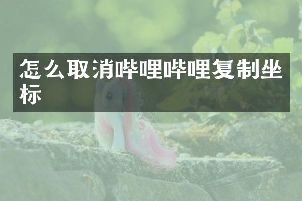 怎么取消哔哩哔哩复制坐标