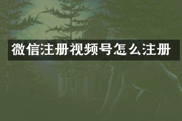 微信注册视频号怎么注册